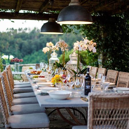 Villa Domus Francigena Lucca Ngoại thất bức ảnh